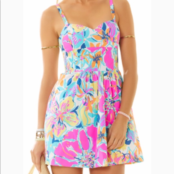 Lilly Pulitzer Dresses & Skirts - Lilly Pulitzer Christine Dress SZ 0